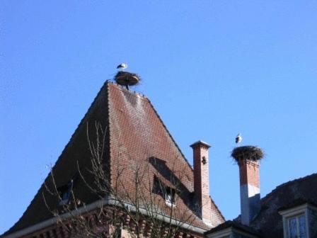 Auberge Obersolberg Eschbach-au-Val Exterior foto